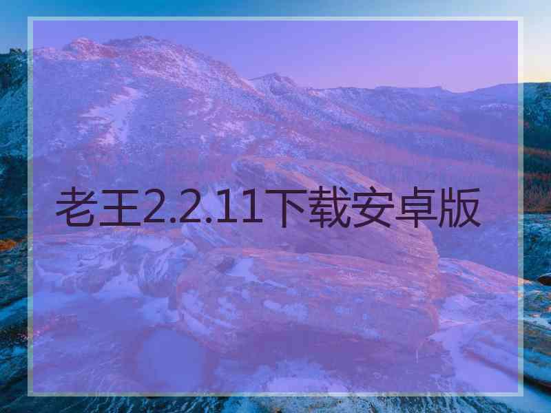 老王2.2.11下载安卓版