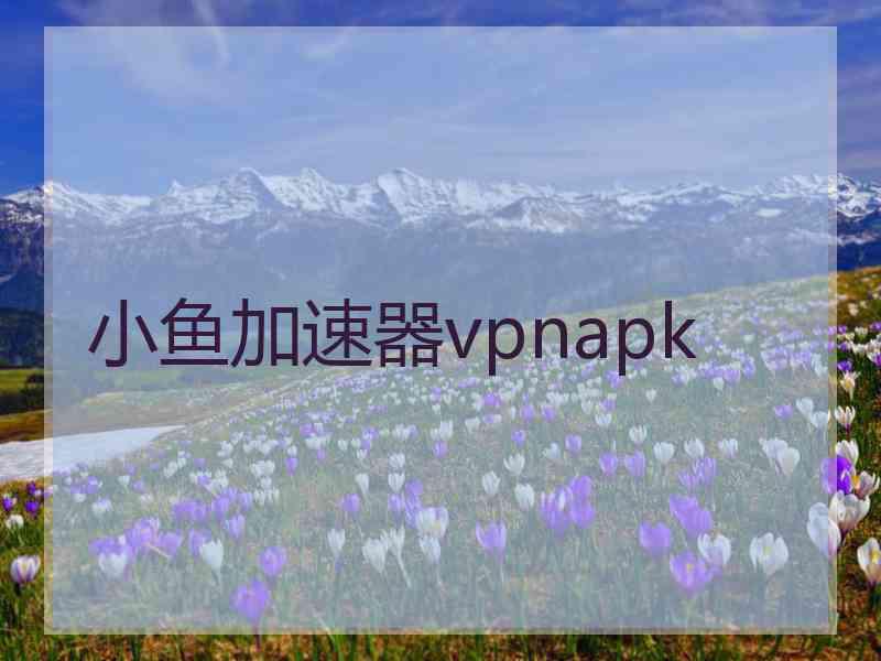 小鱼加速器vpnapk