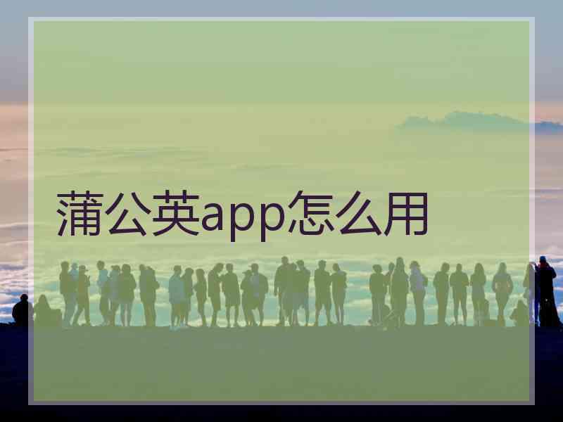 蒲公英app怎么用