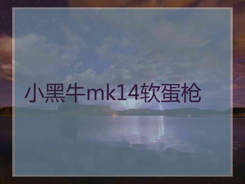 小黑牛mk14软蛋枪