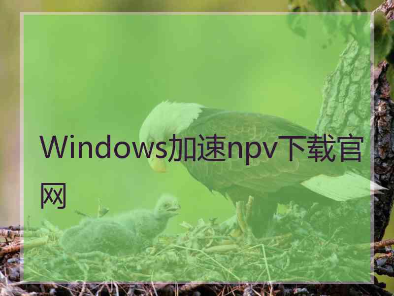 Windows加速npv下载官网