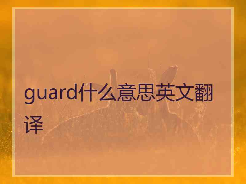 guard什么意思英文翻译