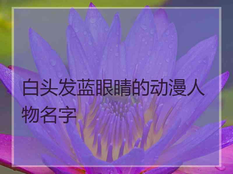 白头发蓝眼睛的动漫人物名字