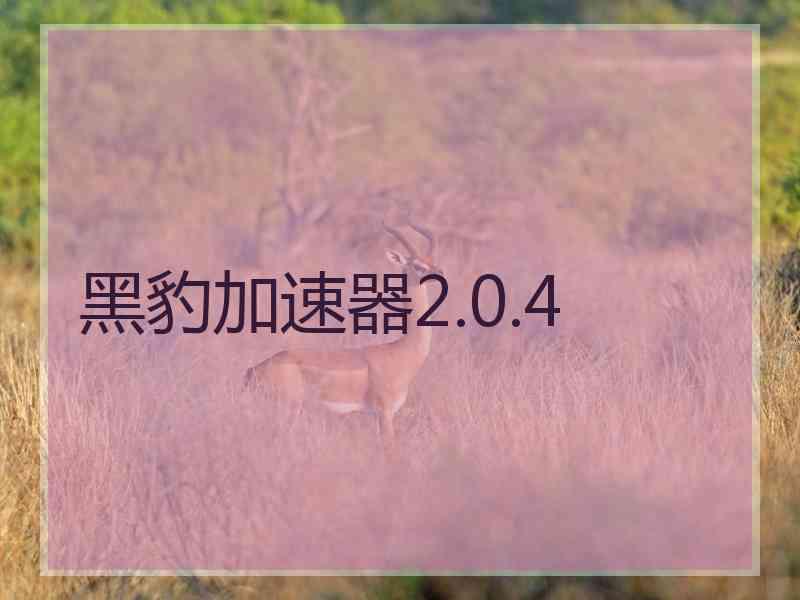 黑豹加速器2.0.4