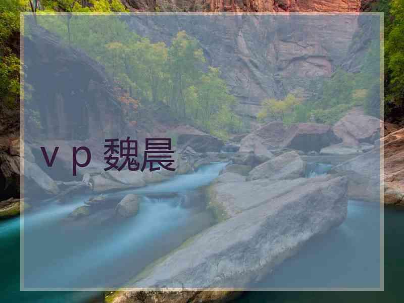 v p 魏晨