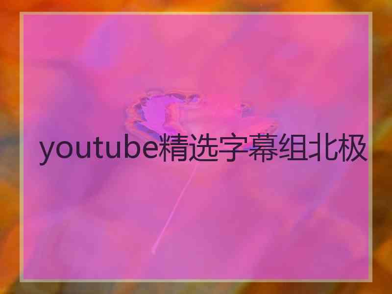 youtube精选字幕组北极