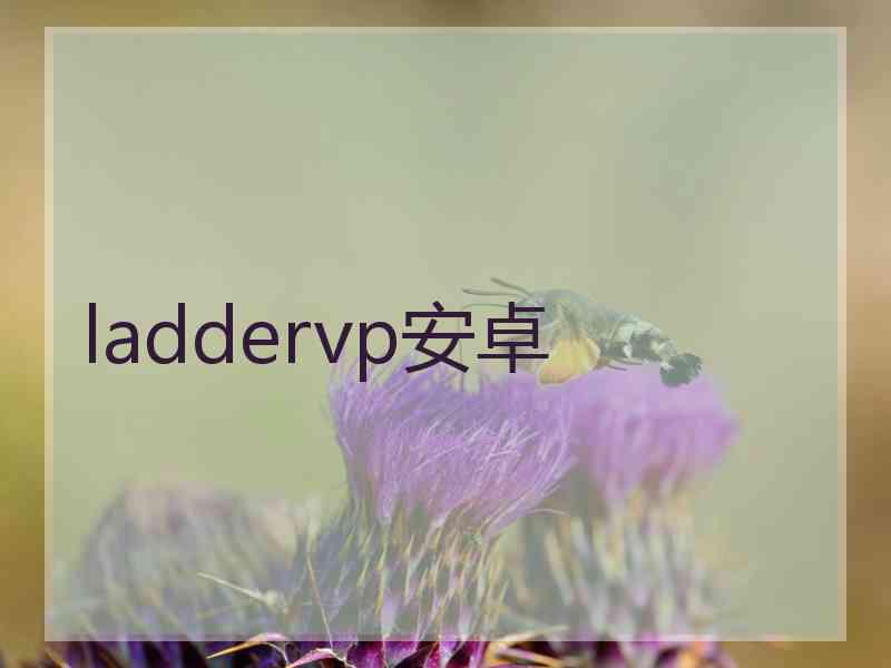 laddervp安卓