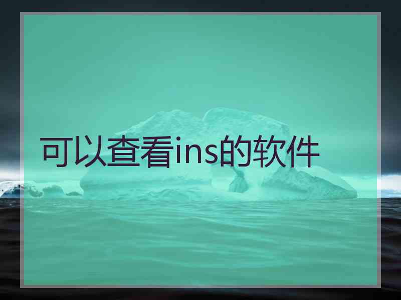 可以查看ins的软件