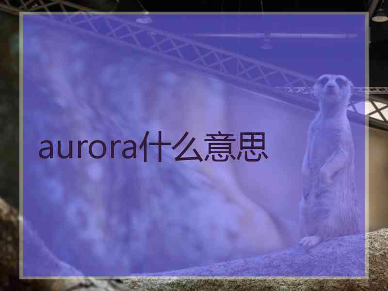 aurora什么意思