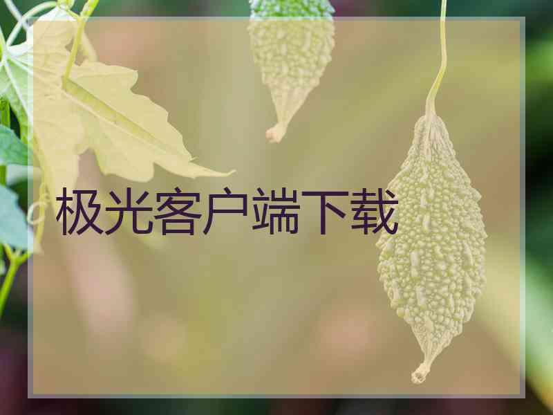 极光客户端下载