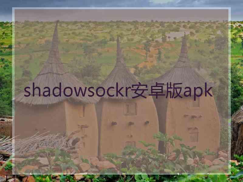 shadowsockr安卓版apk