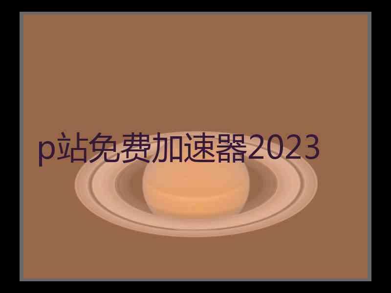 p站免费加速器2023