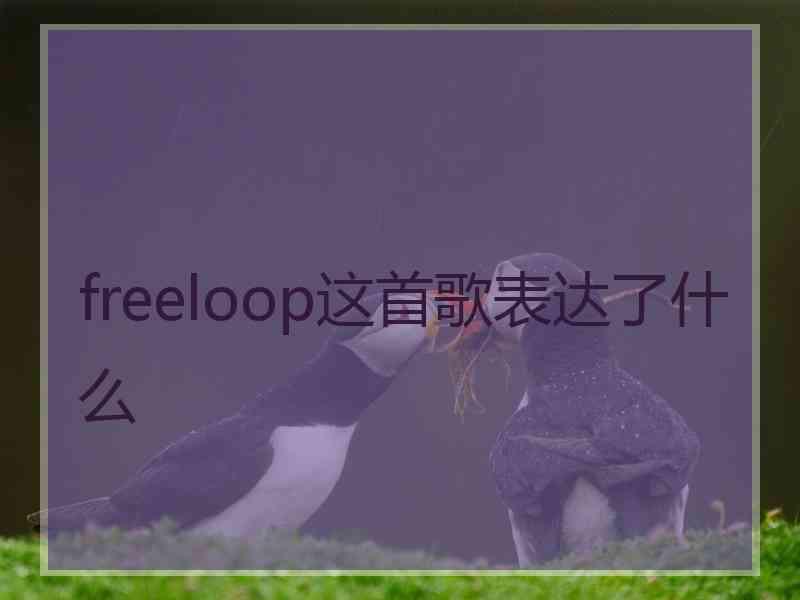 freeloop这首歌表达了什么