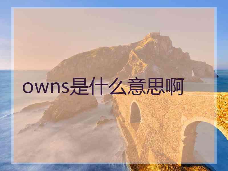 owns是什么意思啊