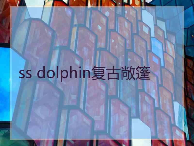 ss dolphin复古敞篷