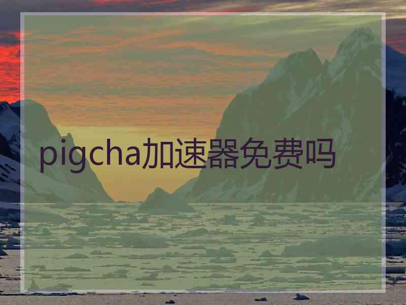 pigcha加速器免费吗