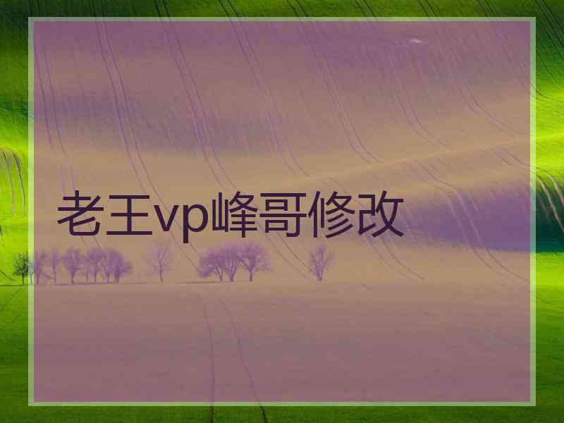 老王vp峰哥修改