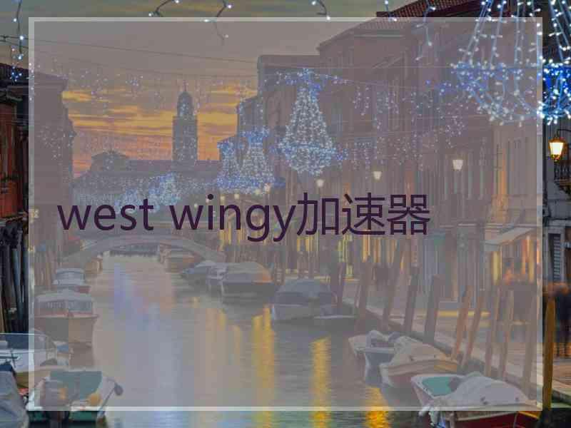 west wingy加速器