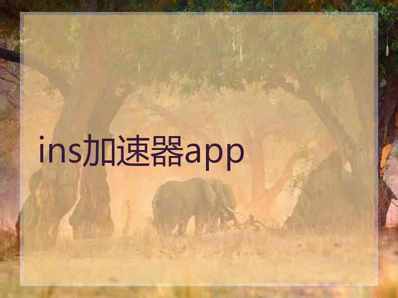 ins加速器app