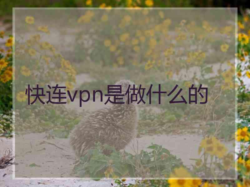 快连vpn是做什么的