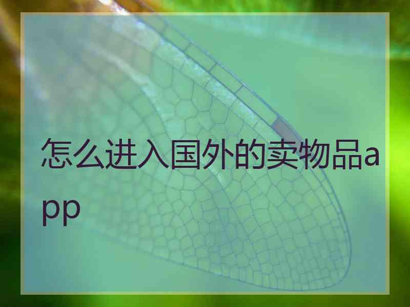 怎么进入国外的卖物品app