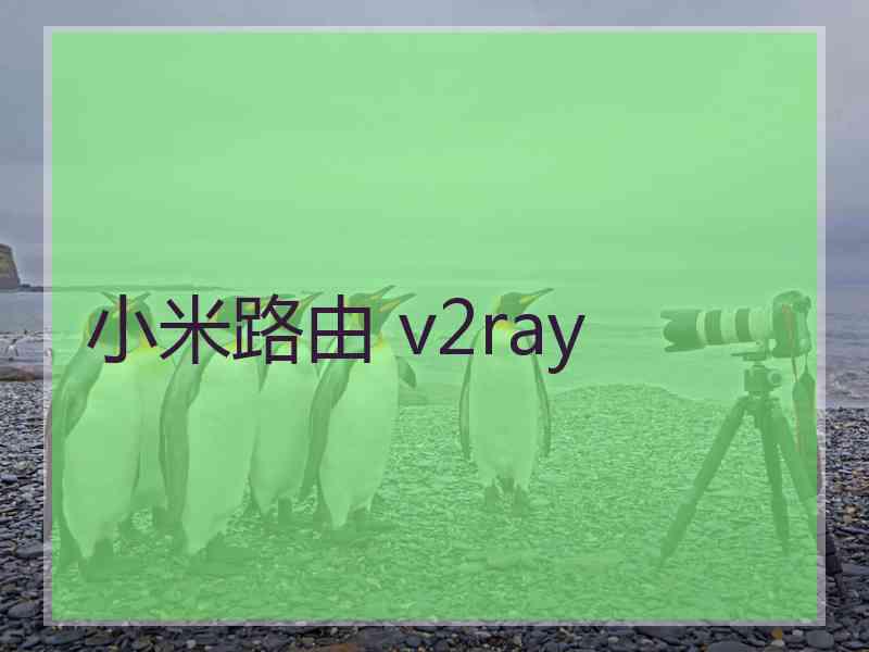 小米路由 v2ray