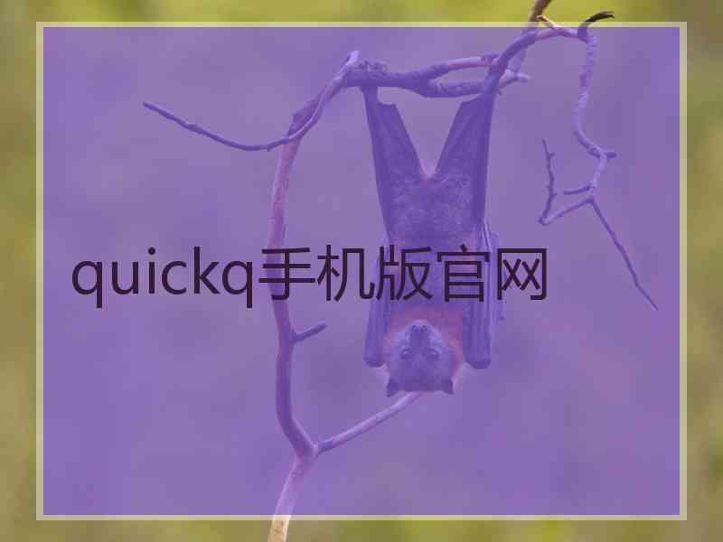 quickq手机版官网