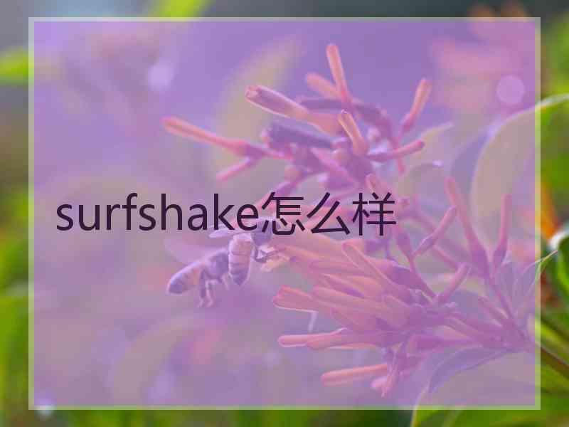 surfshake怎么样