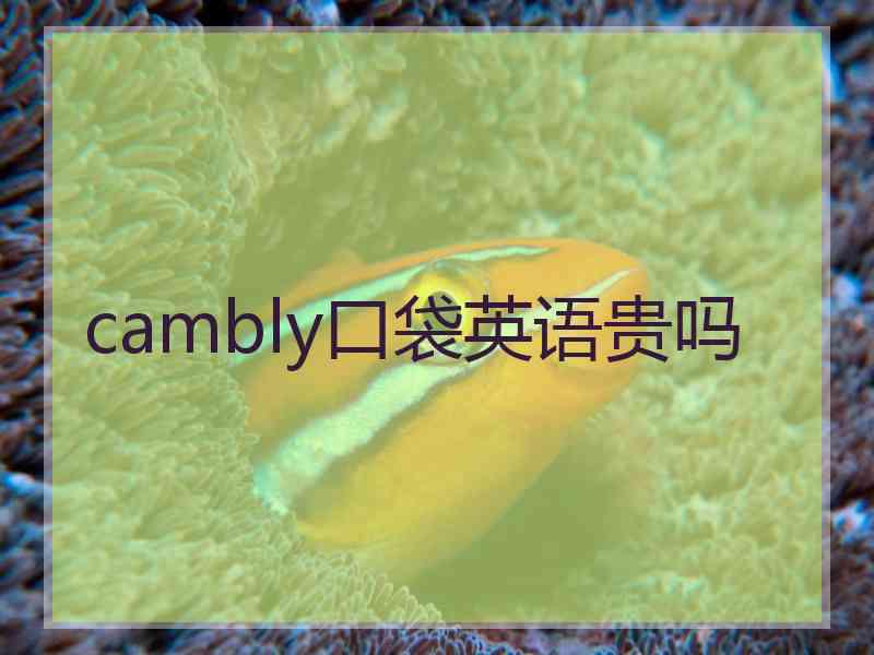 cambly口袋英语贵吗