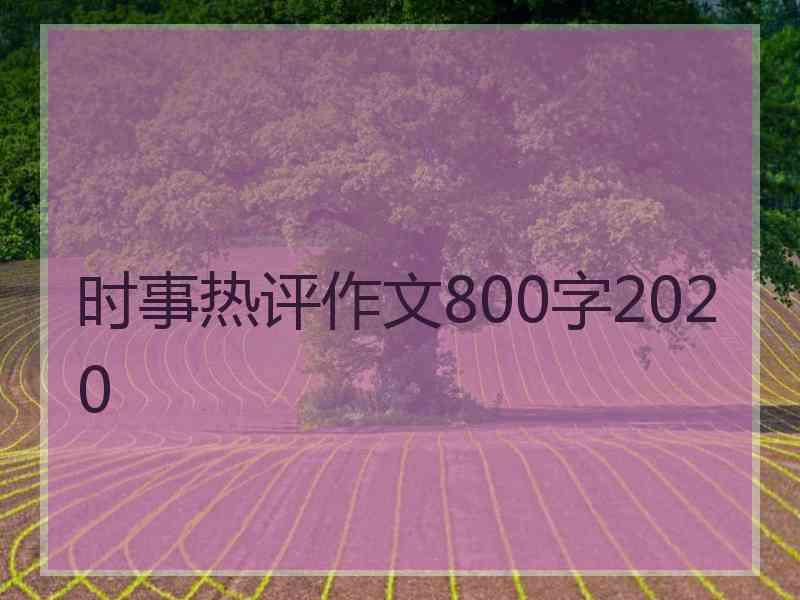 时事热评作文800字2020