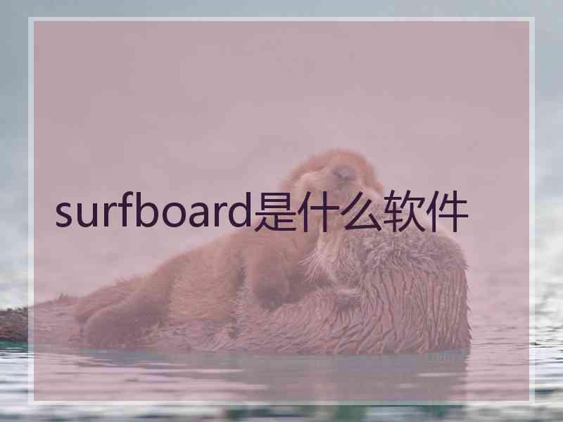 surfboard是什么软件