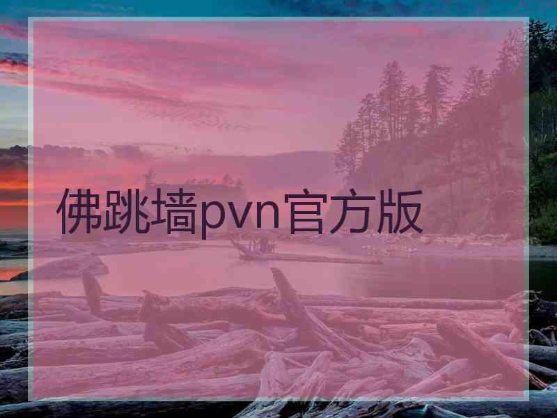 佛跳墙pvn官方版