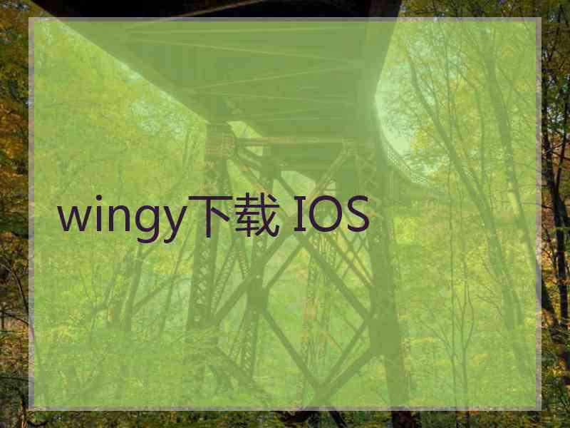 wingy下载 IOS