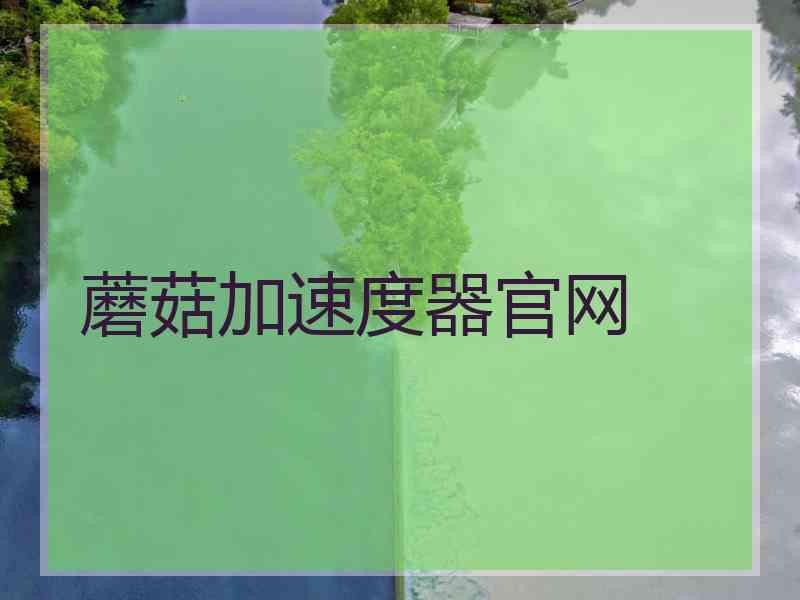 蘑菇加速度器官网