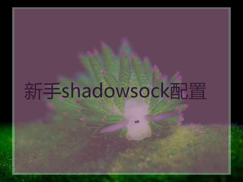 新手shadowsock配置