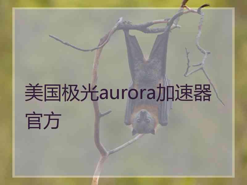 美国极光aurora加速器官方