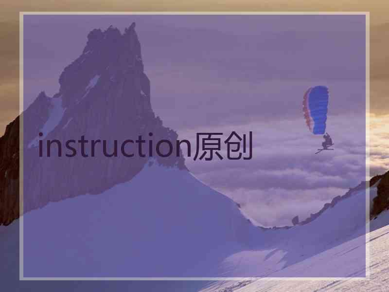 instruction原创