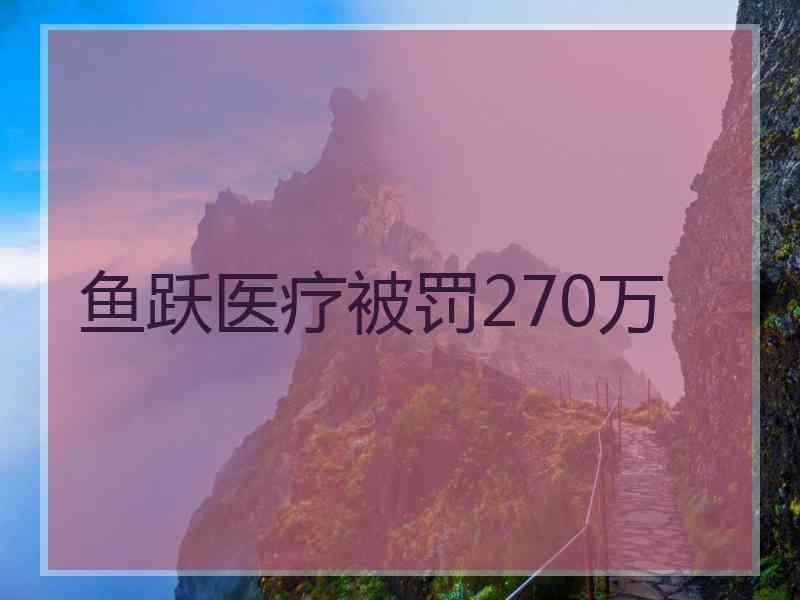 鱼跃医疗被罚270万