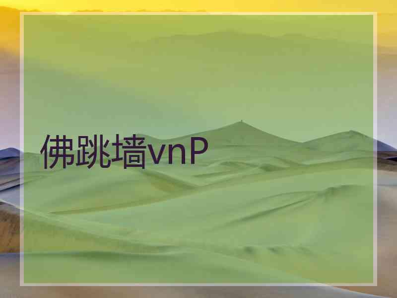 佛跳墙vnP