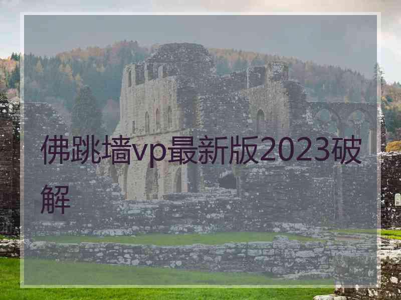 佛跳墙vp最新版2023破解