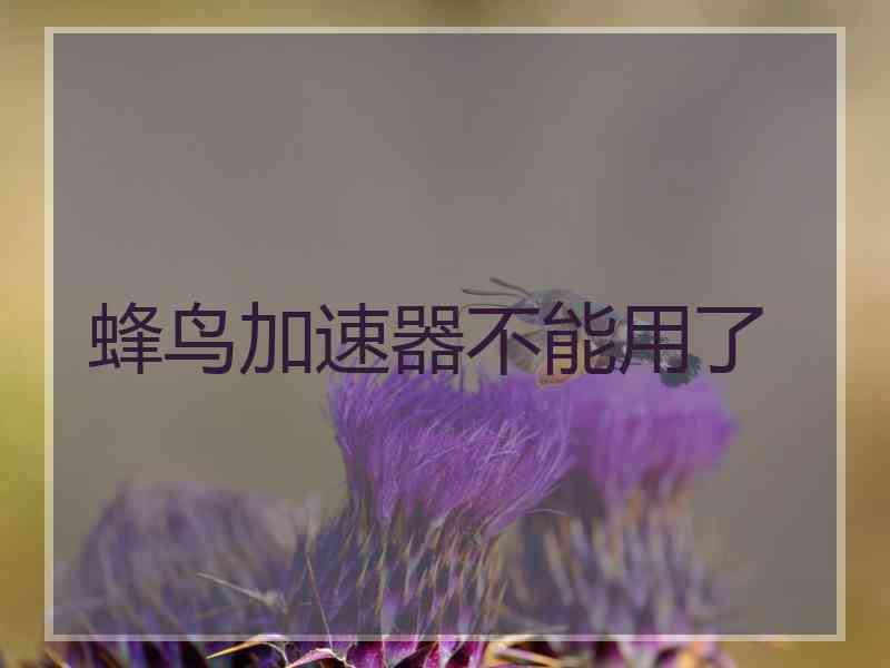 蜂鸟加速器不能用了