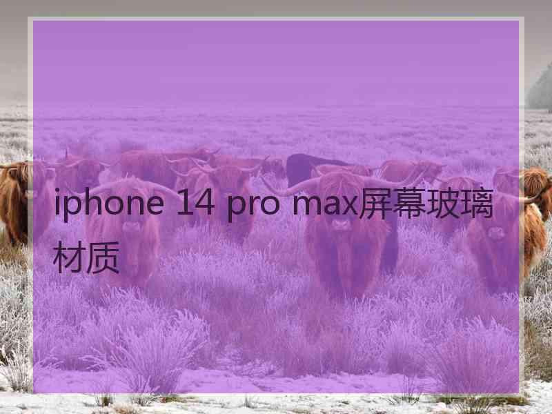 iphone 14 pro max屏幕玻璃材质