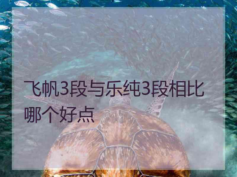 飞帆3段与乐纯3段相比哪个好点