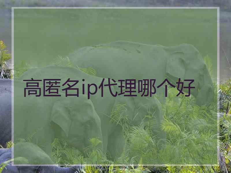 高匿名ip代理哪个好