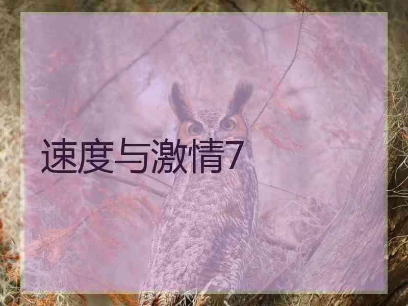 速度与激情7