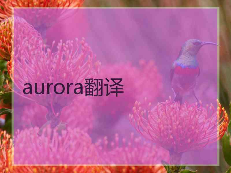 aurora翻译