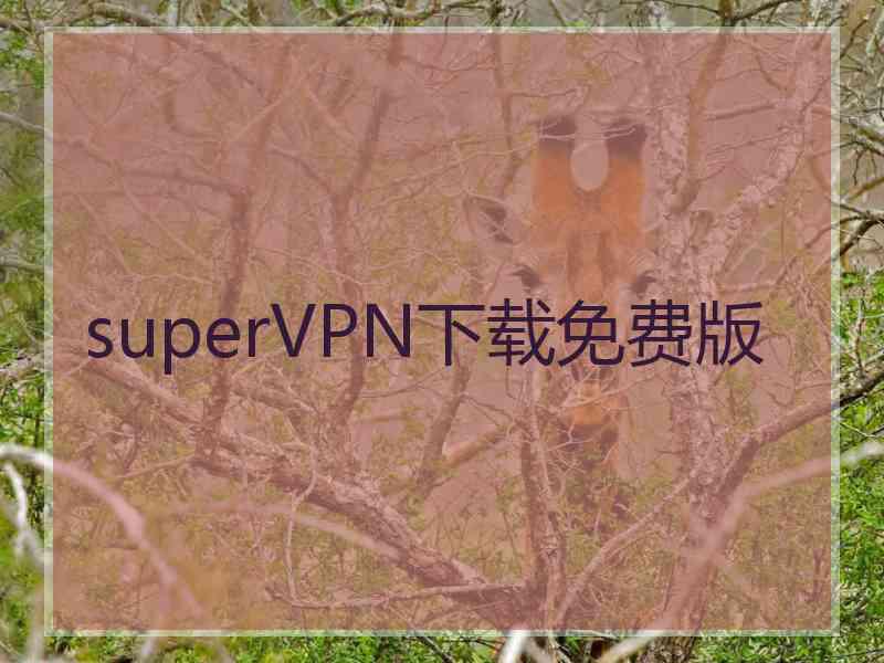 superVРN下载免费版