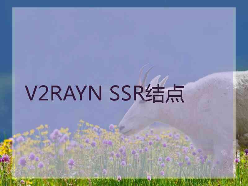 V2RAYN SSR结点