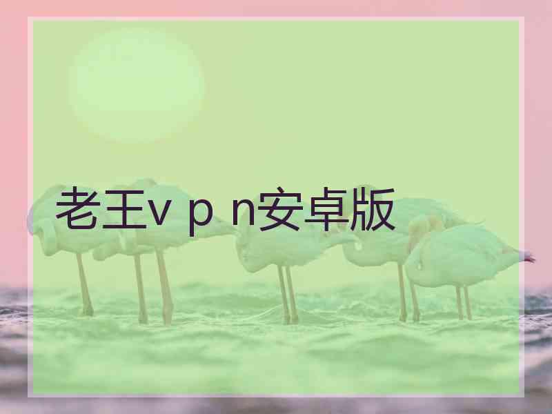 老王v p n安卓版