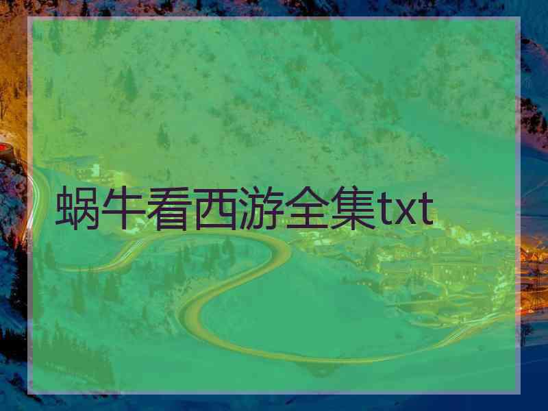 蜗牛看西游全集txt